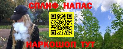 шишки Нальчик