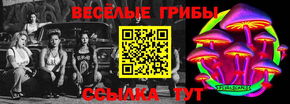 Рузаевка  Галлюциногенные грибы Cubensis  где можно купить наркотик  Вход с VPN 
