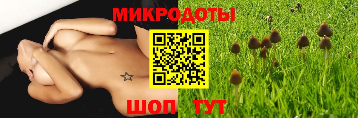 Галлюциногенные грибы Psilocybine cubensis Рузаевка